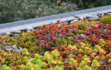 the cost of Scoraig green roof installation